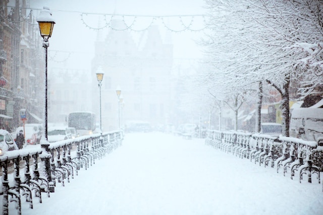 voyage en safari neige