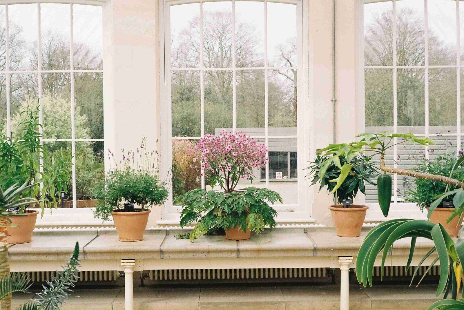 Optimisez votre espace vert pour un confort maximal