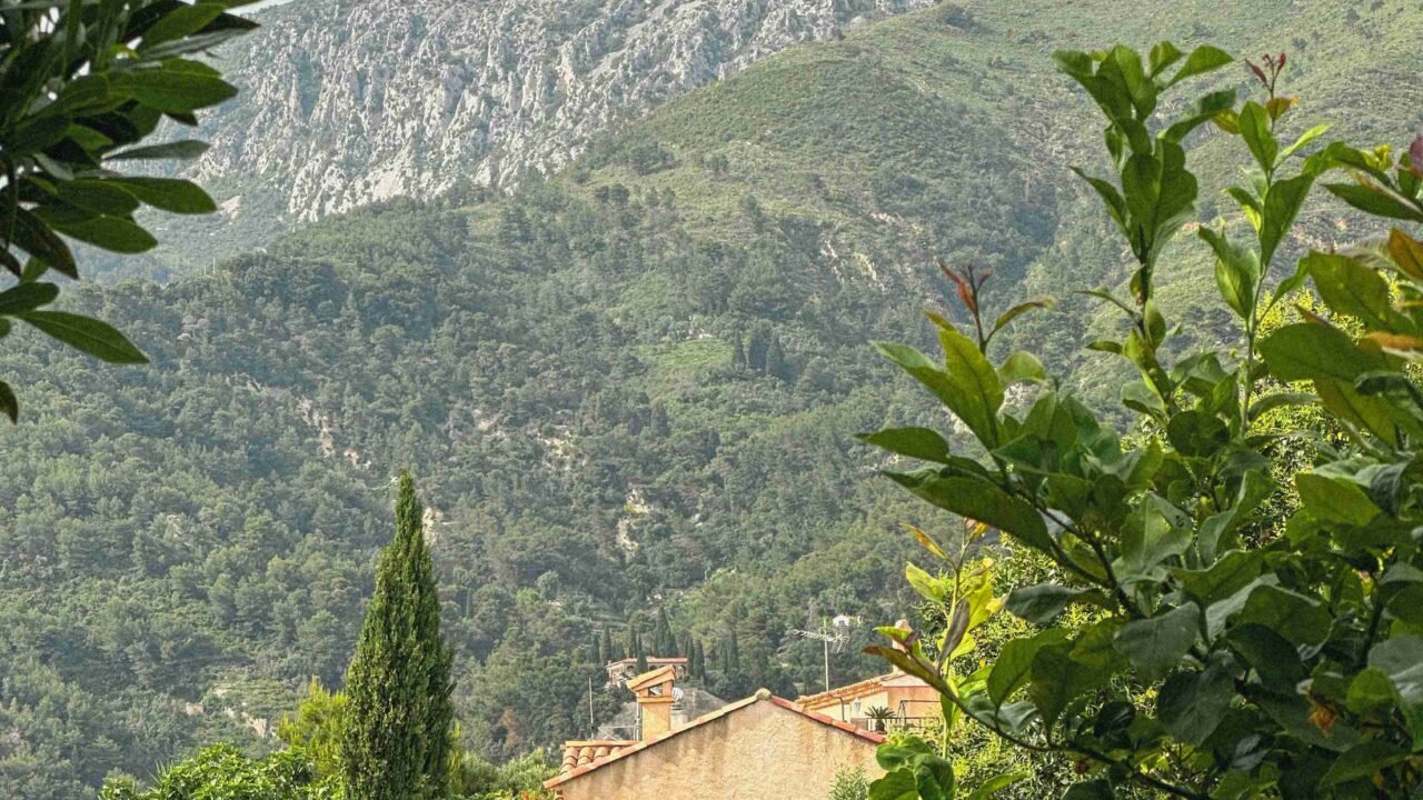 Optimisez votre espace vert pour un confort maximal