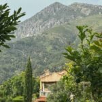 Optimisez votre espace vert pour un confort maximal