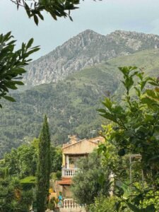 Optimisez votre espace vert pour un confort maximal