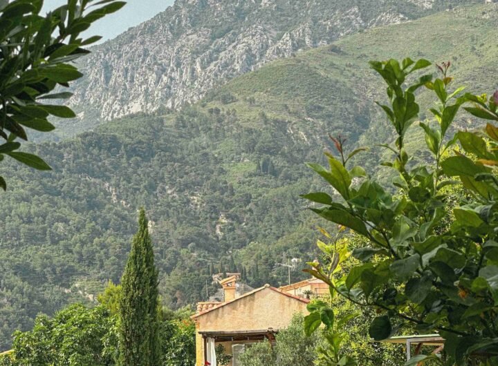 Optimisez votre espace vert pour un confort maximal