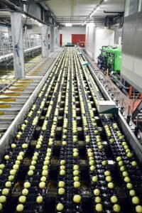 chaîne logistique