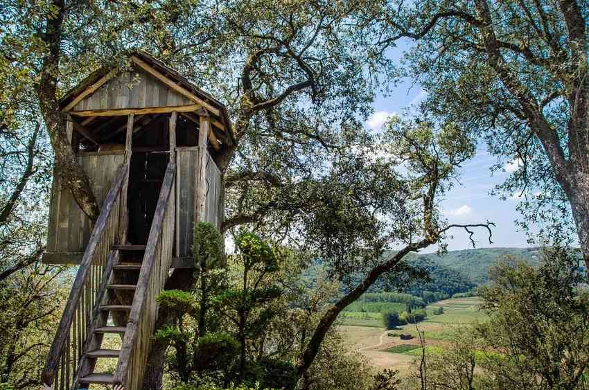 Cabane en bois dans un arbre avec échelle Cabane en bois dans un arbre avec échelle
