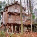 Cabane en bois dans la forêt avec ponton et terrasse