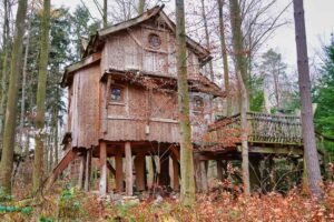 Cabane en bois dans la forêt avec ponton et terrasse
