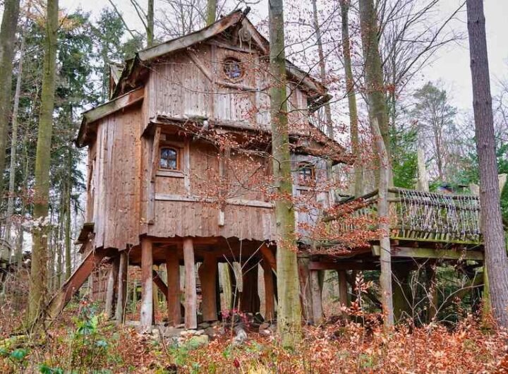 Cabane en bois dans la forêt avec ponton et terrasse
